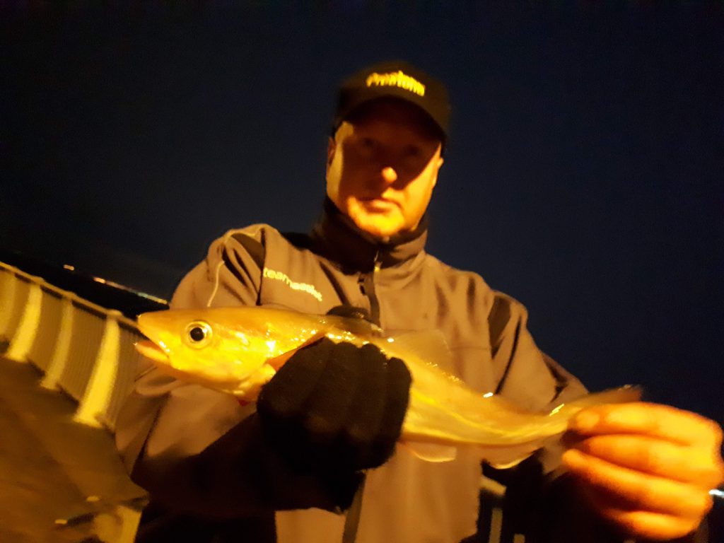 Picture of a whiting caught whilst fishing at Otterspool