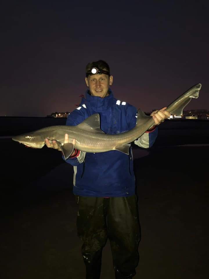 A picture showing a smoothhound caught in the river Mersey