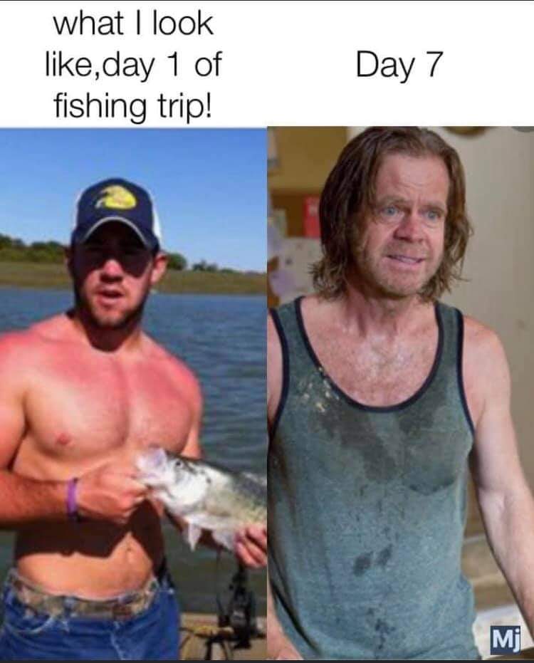 Best funny fishing memes - TurnersTackle